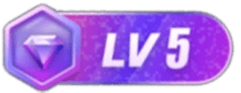 等级-LV5-5元站