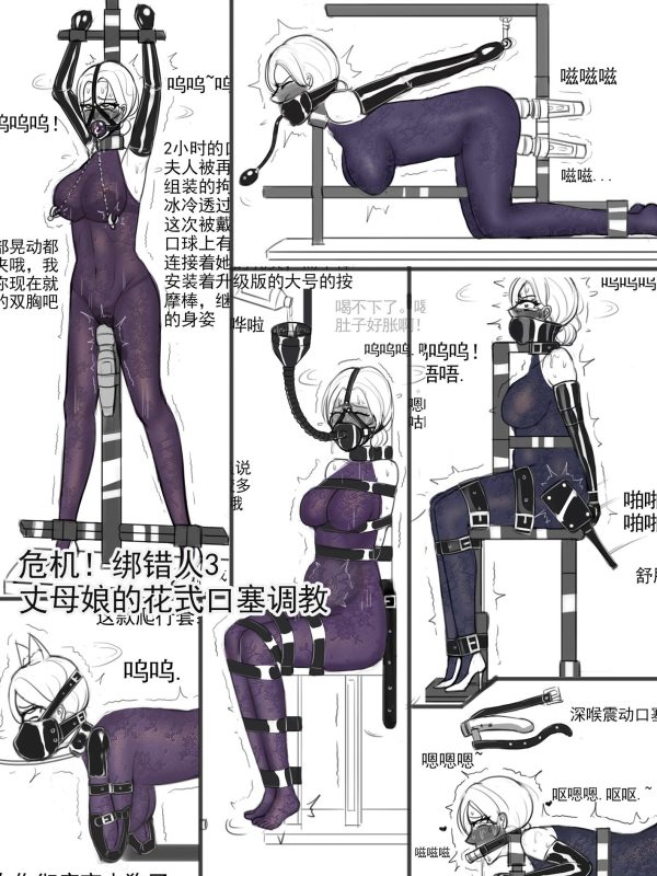 [夜匠]《危机！绑错人3丈母娘的花式口塞调教》 - 5元站-5元站