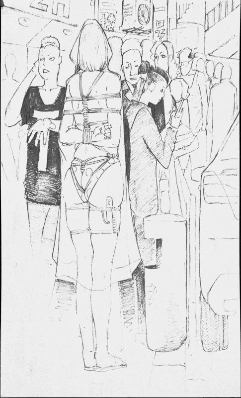 [斯德哥尔的绳缚故事] 生日礼物-5元站