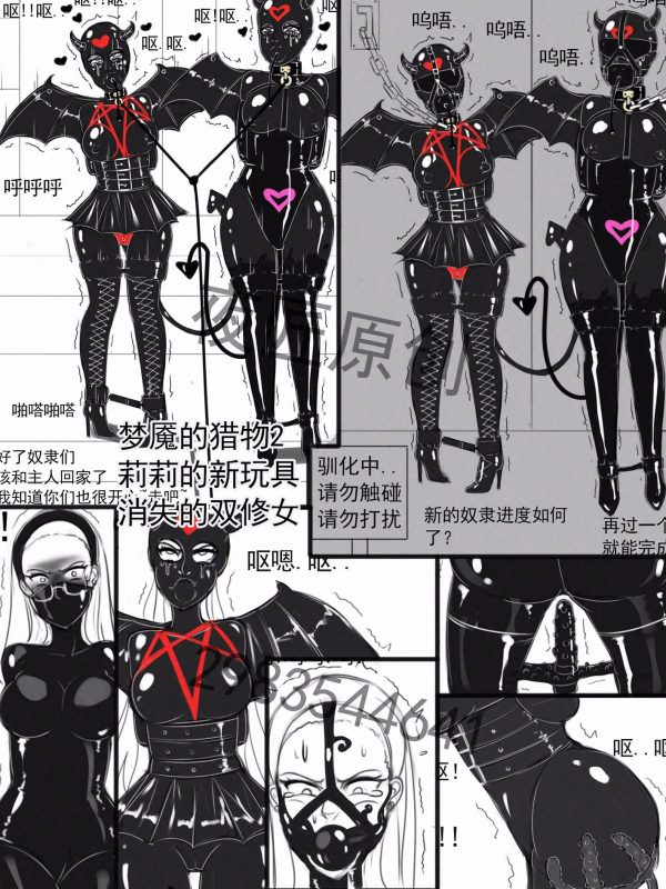 [夜匠]《梦魇的猎物2莉莉的新玩具，消失的双修女》-5元站