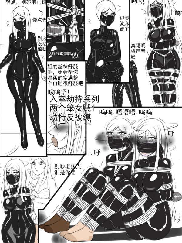 [夜匠]《入室劫持系列之两个笨女贼1劫持反被缚》 - 5元站-5元站